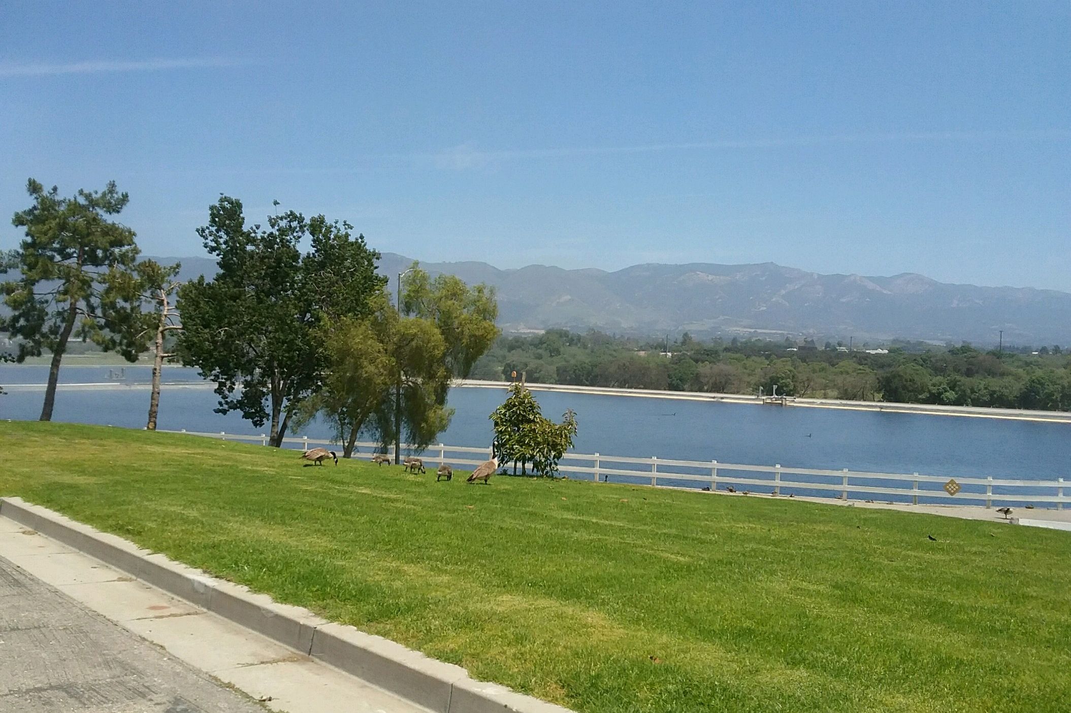 Goleta Sanitary Lagoon