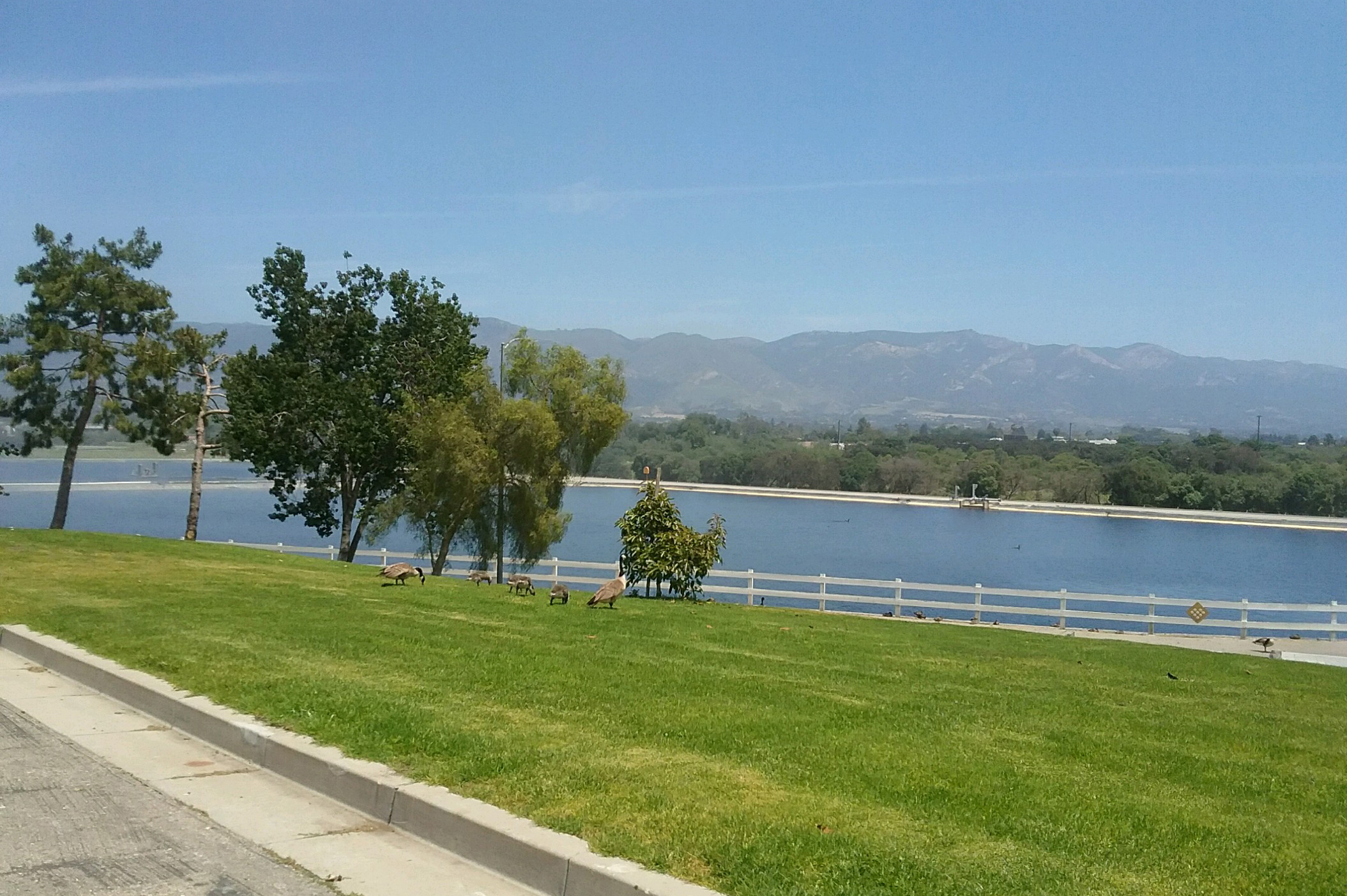 Lagoon at Goleta Sanitary District