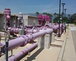 Purple Pipes