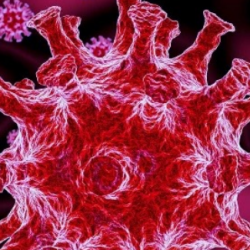 virus